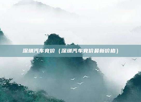深圳汽车竞价（深圳汽车竞价最新价格）
