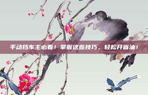 手动挡车主必看！掌握这些技巧，轻松开省油！
