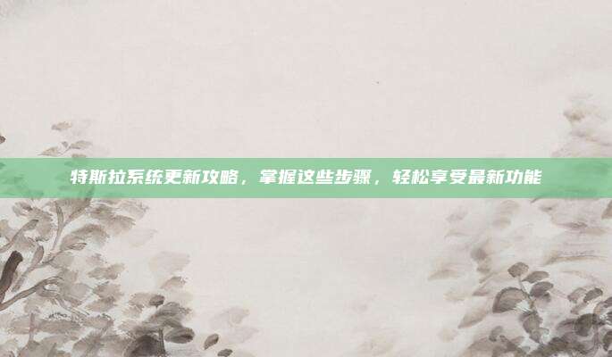 特斯拉系统更新攻略，掌握这些步骤，轻松享受最新功能