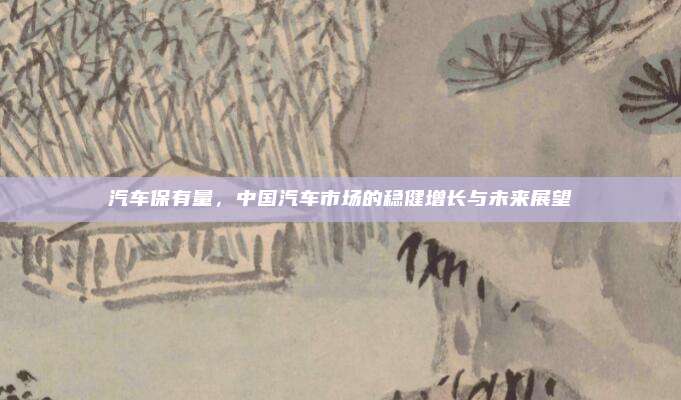 汽车保有量，中国汽车市场的稳健增长与未来展望