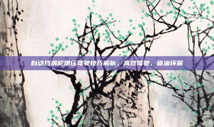 自动挡涡轮增压驾驶技巧解析，高效驾驶，省油环保