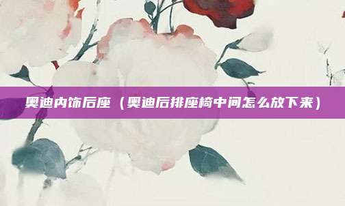 奥迪内饰后座（奥迪后排座椅中间怎么放下来）
