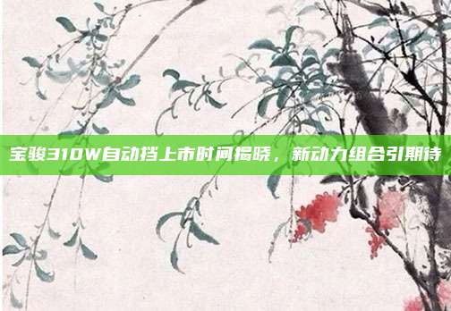 宝骏310W自动挡上市时间揭晓，新动力组合引期待