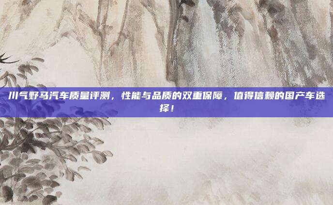 川气野马汽车质量评测,性能与品质的双重保障,值得信赖的国产车选择!