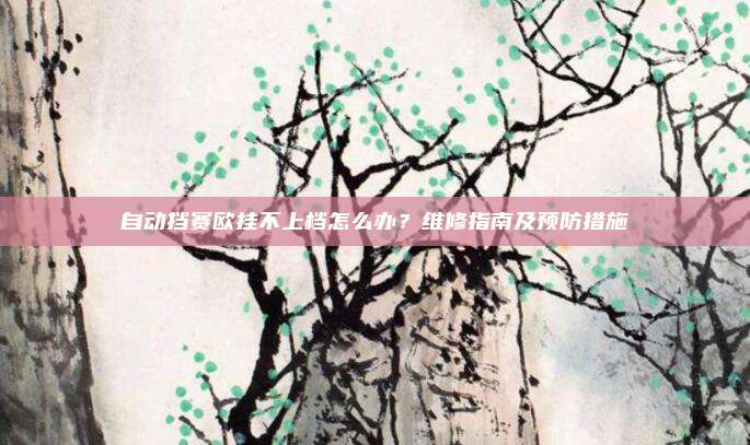 自动挡赛欧挂不上档怎么办？维修指南及预防措施