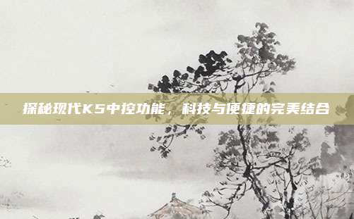 探秘现代K5中控功能,科技与便捷的完美结合