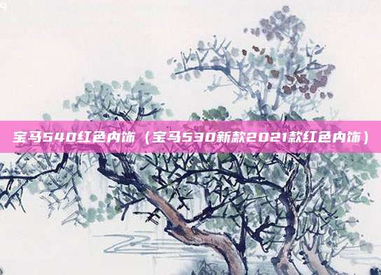 宝马540红色内饰（宝马530新款2021款红色内饰）