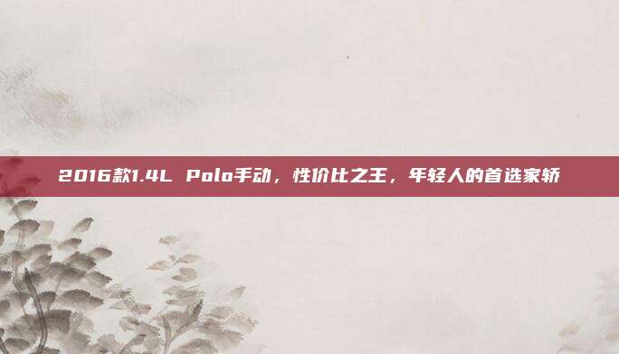 2016款1.4L Polo手动，性价比之王，年轻人的首选家轿