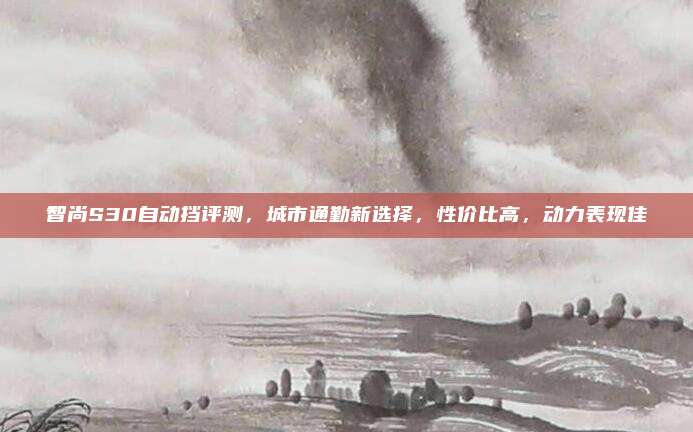 智尚S30自动挡评测，城市通勤新选择，性价比高，动力表现佳