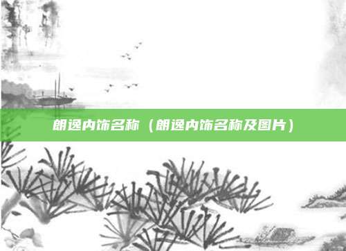朗逸内饰名称（朗逸内饰名称及图片）