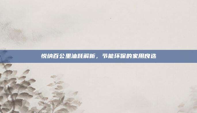悦纳百公里油耗解析，节能环保的家用良选