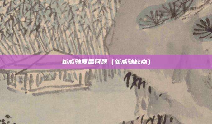 新威驰质量问题（新威驰缺点）