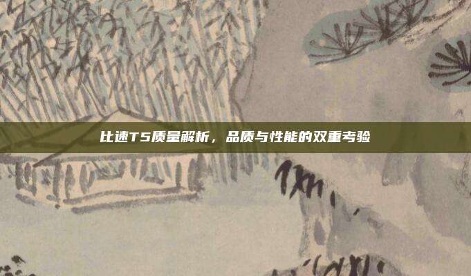 比速T5质量解析，品质与性能的双重考验