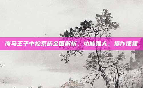 海马王子中控系统全面解析，功能强大，操作便捷
