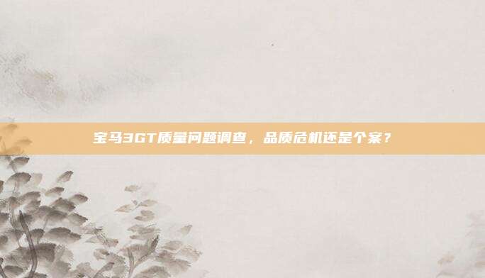 宝马3GT质量问题调查，品质危机还是个案？