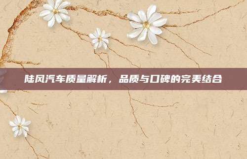 陆风汽车质量解析，品质与口碑的完美结合