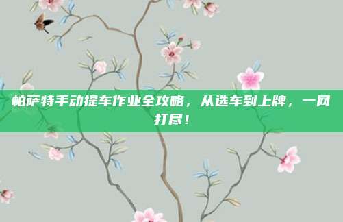 帕萨特手动提车作业全攻略，从选车到上牌，一网打尽！
