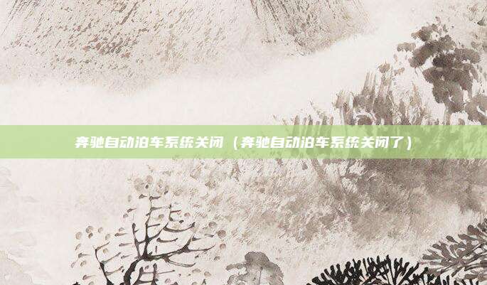 奔驰自动泊车系统关闭(奔驰自动泊车系统关闭了)