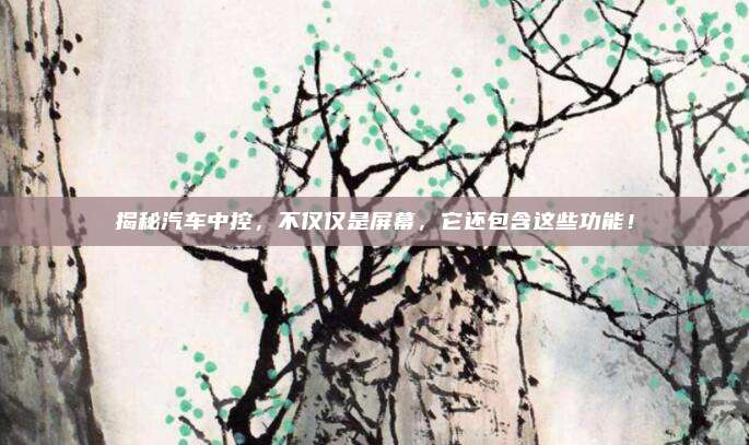 揭秘汽车中控，不仅仅是屏幕，它还包含这些功能！