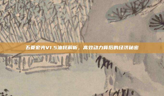 五菱宏光V1.5油耗解析，高效动力背后的经济秘密