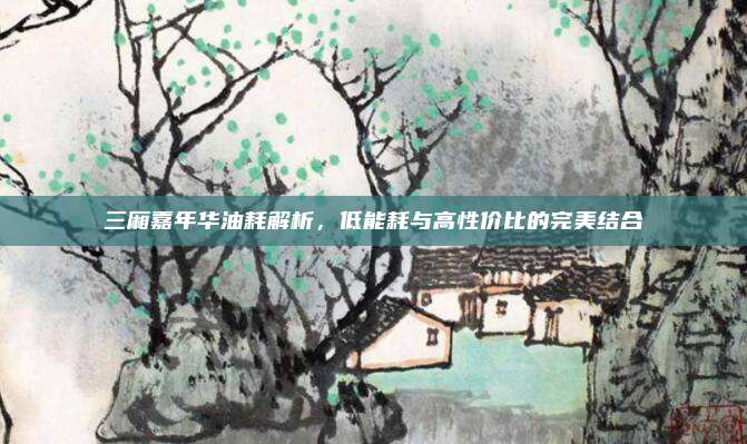 三厢嘉年华油耗解析，低能耗与高性价比的完美结合