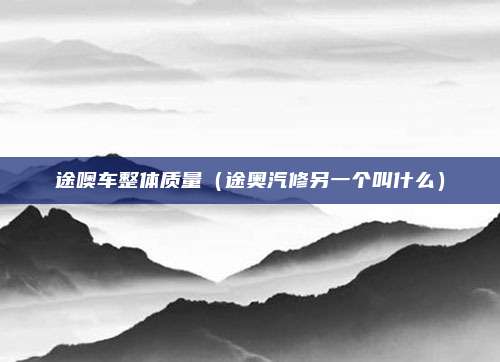 途噢车整体质量（途奥汽修另一个叫什么）