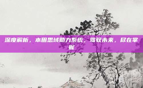 深度解析，本田思域助力系统，驾驭未来，尽在掌握