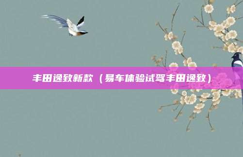丰田逸致新款(易车体验试驾丰田逸致)