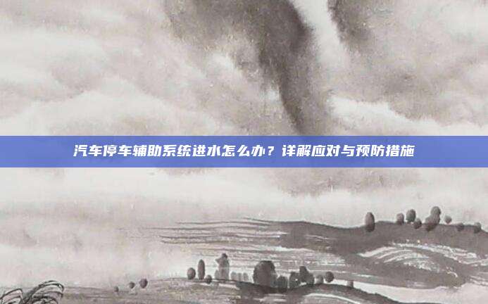 汽车停车辅助系统进水怎么办？详解应对与预防措施