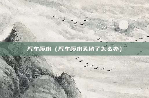 汽车喷水（汽车喷水头堵了怎么办）