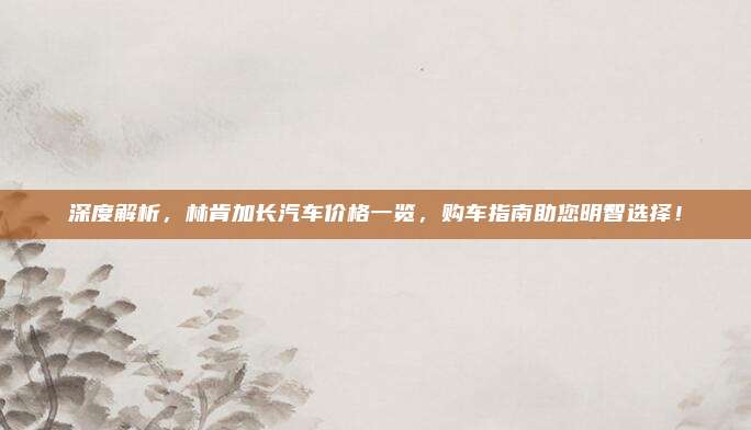 深度解析，林肯加长汽车价格一览，购车指南助您明智选择！