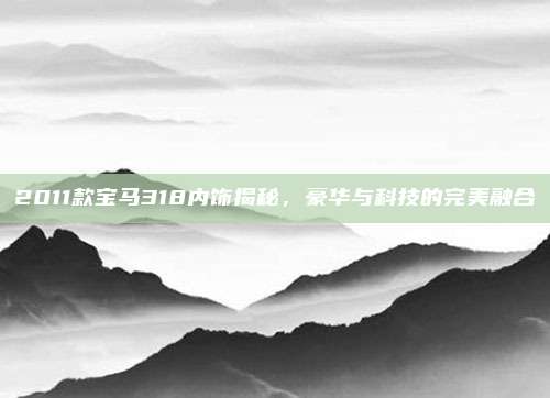 2011款宝马318内饰揭秘，豪华与科技的完美融合