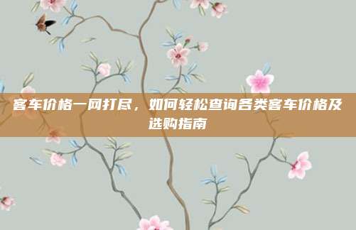 客车价格一网打尽，如何轻松查询各类客车价格及选购指南