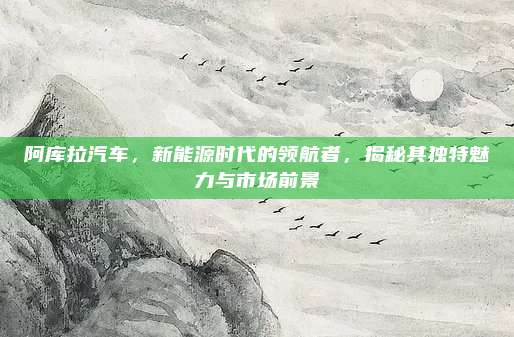 阿库拉汽车，新能源时代的领航者，揭秘其独特魅力与市场前景