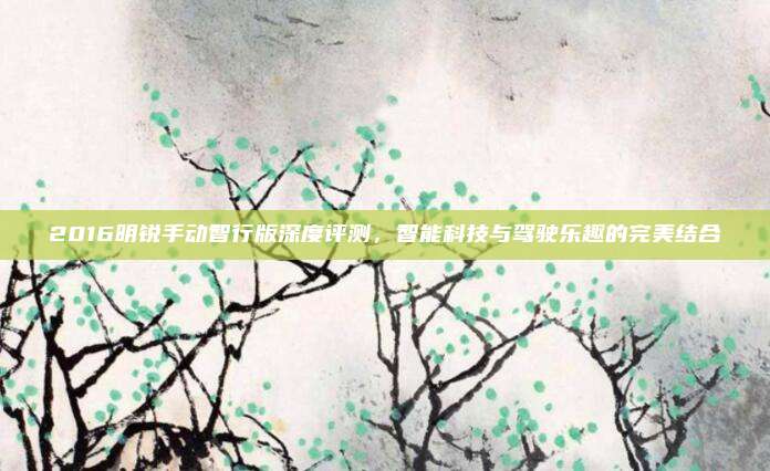 2016明锐手动智行版深度评测，智能科技与驾驶乐趣的完美结合
