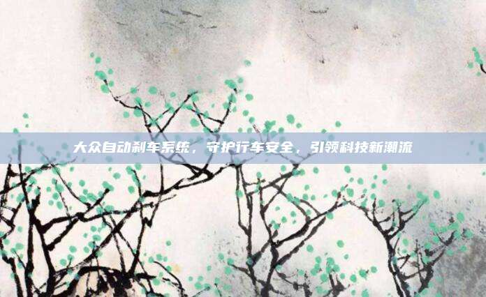 大众自动刹车系统，守护行车安全，引领科技新潮流