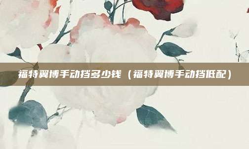 福特翼博手动挡多少钱（福特翼博手动挡低配）