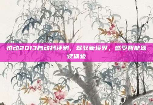 悦动2013自动挡评测，驾驭新境界，感受智能驾驶体验