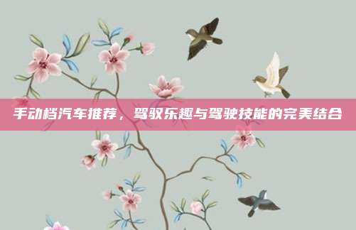 手动档汽车推荐，驾驭乐趣与驾驶技能的完美结合