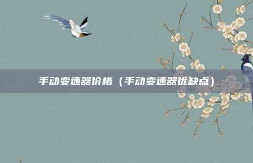 手动变速器价格(手动变速器优缺点)