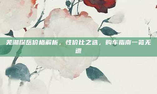 芜湖探岳价格解析，性价比之选，购车指南一览无遗