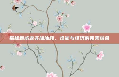 揭秘新威霆实际油耗,性能与经济的完美结合