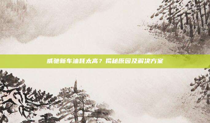 威驰新车油耗太高?揭秘原因及解决方案