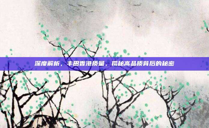 深度解析，丰田香港质量，揭秘高品质背后的秘密