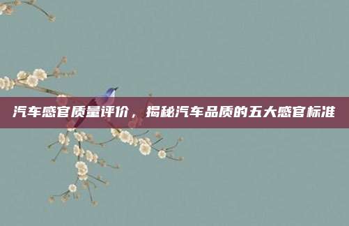 汽车感官质量评价，揭秘汽车品质的五大感官标准
