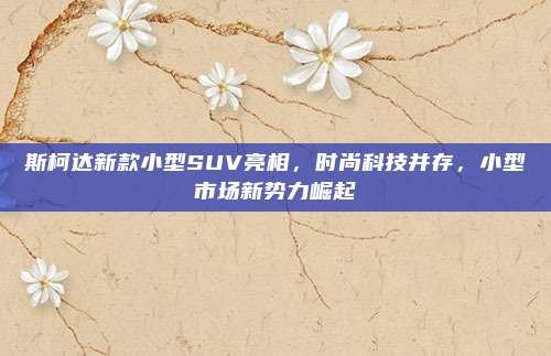 斯柯达新款小型SUV亮相，时尚科技并存，小型市场新势力崛起