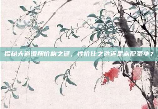 揭秘大道滑翔价格之谜，性价比之选还是高配豪华？