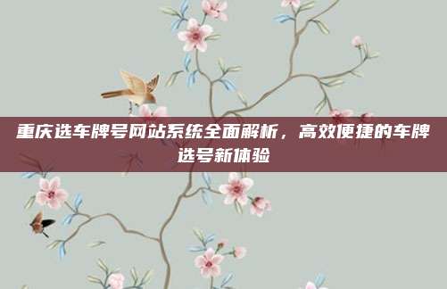 重庆选车牌号网站系统全面解析，高效便捷的车牌选号新体验