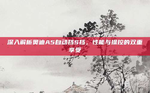 深入解析奥迪A5自动挡S挡，性能与操控的双重享受
