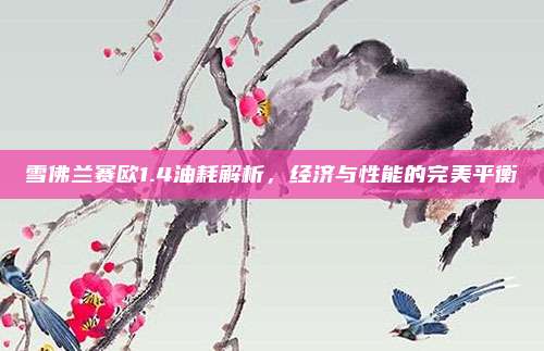 雪佛兰赛欧1.4油耗解析，经济与性能的完美平衡